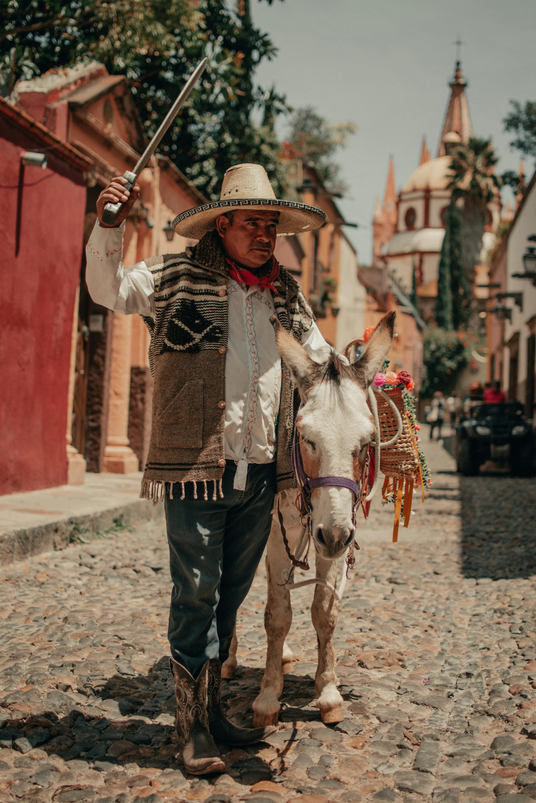 Mexique entre jungle et océan – Image 5