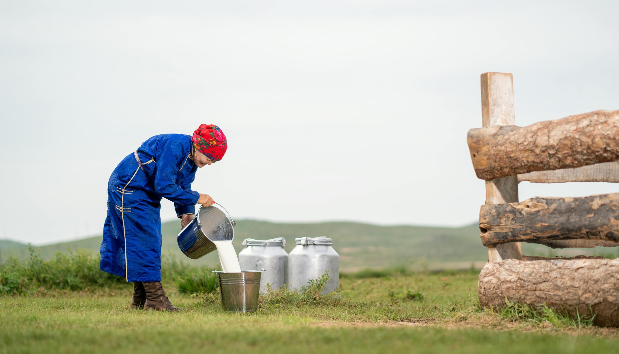 Voyage en mongolie – Image 6