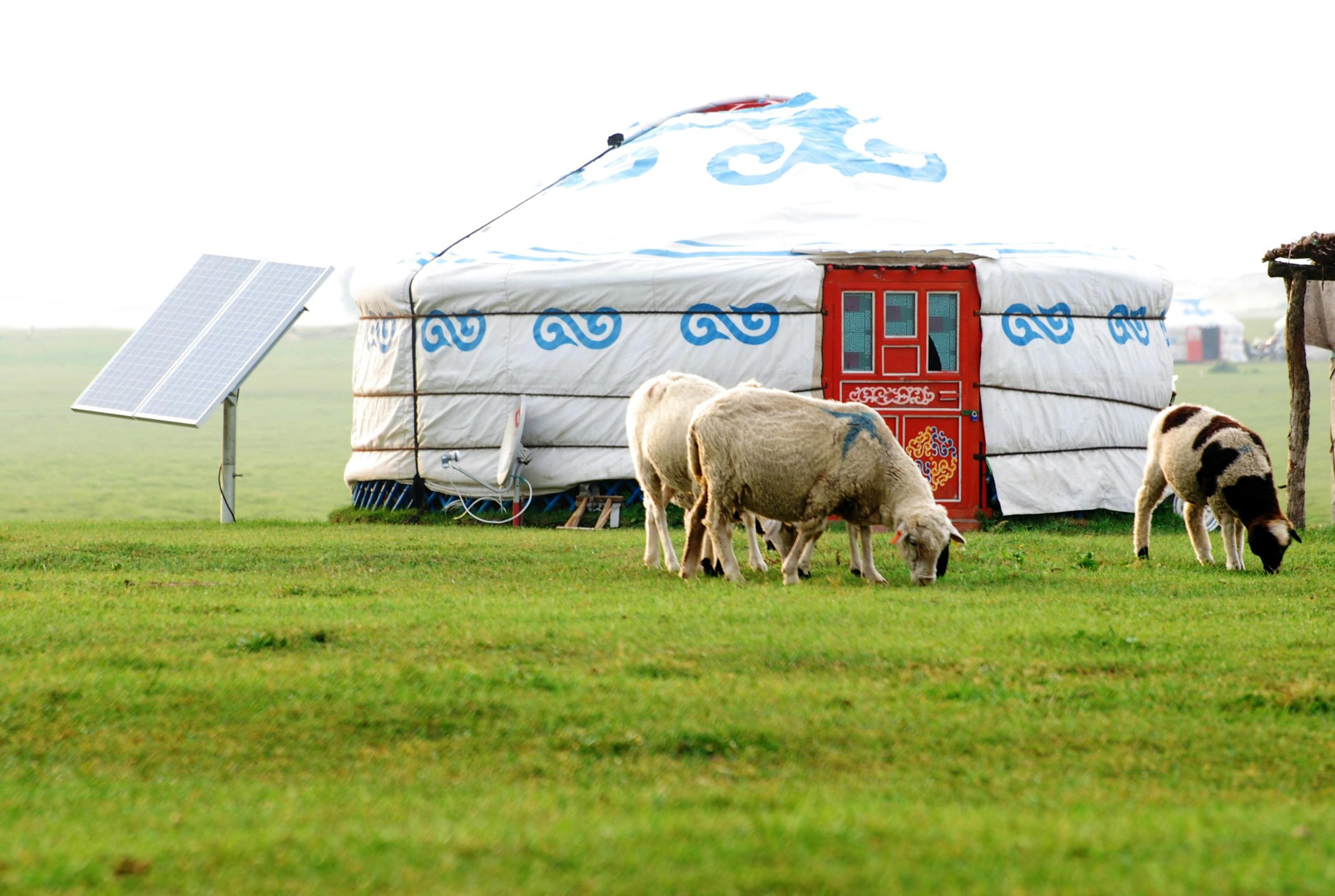 Voyage en mongolie – Image 4