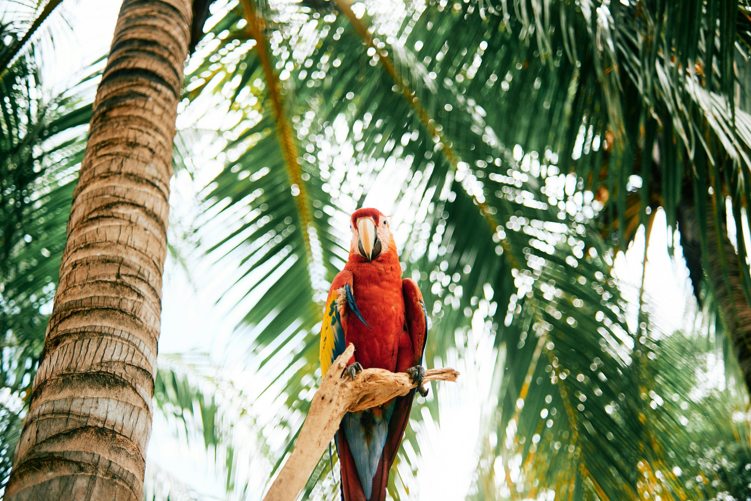 Nicaragua volcans et lagunes – Image 4