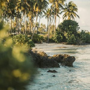 Voyage à zanzibar