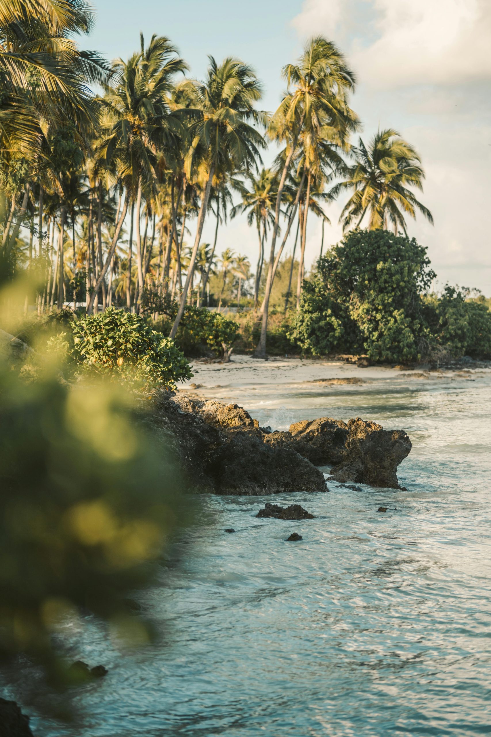 Voyage à zanzibar