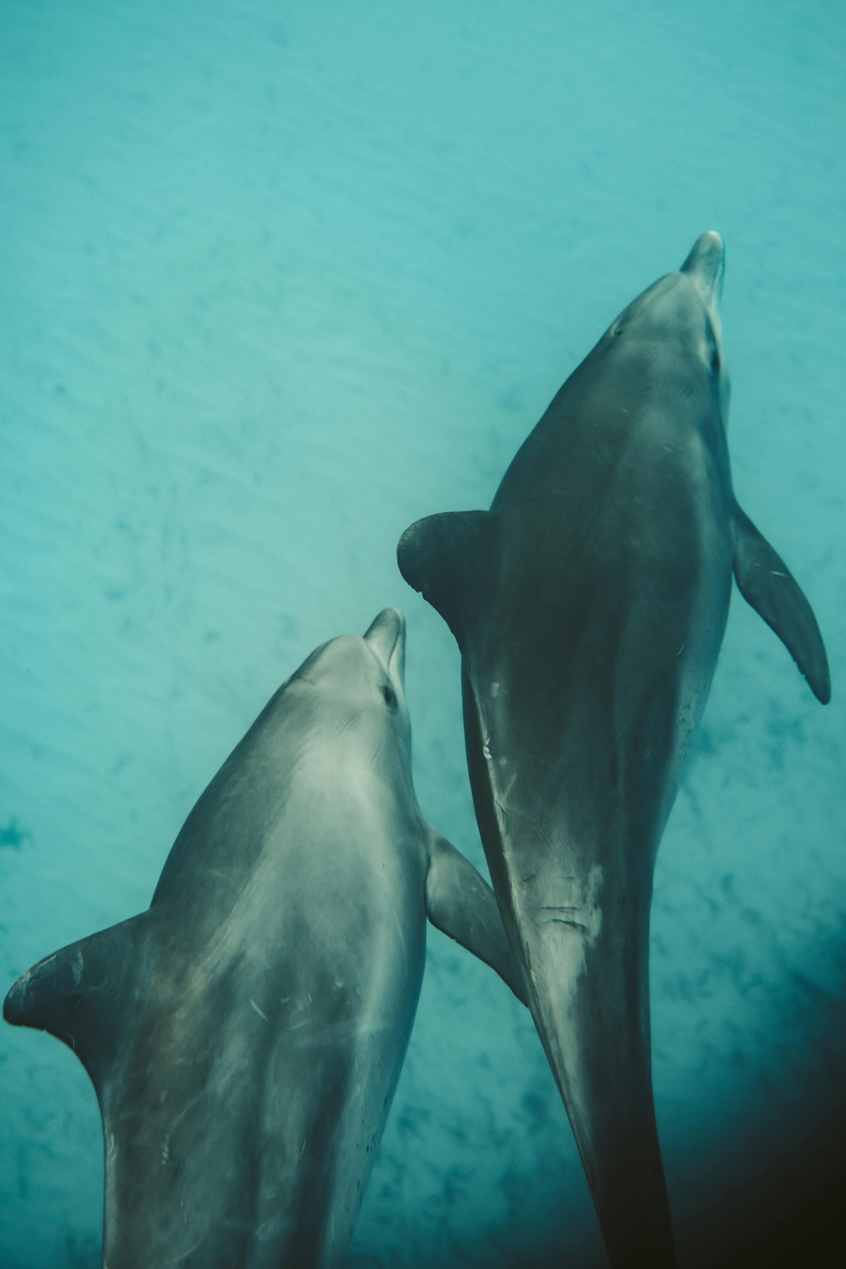 Voyage à zanzibar – Image 4